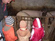 KiTa auf dem Bauernhof